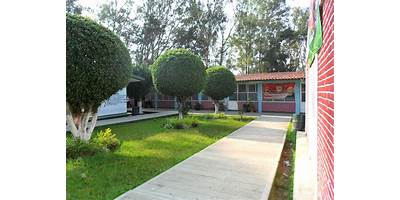 Imagen de la galería