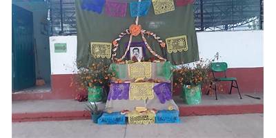 Imagen de la galería