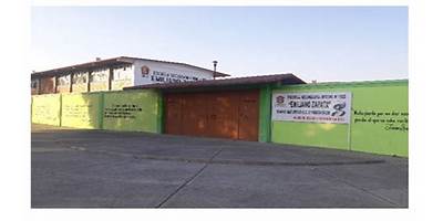 Imagen de la galería