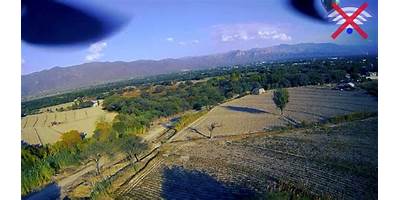 PANTZINGO DE MORELOS