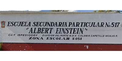 PART NO 0517 "ALBERT EINSTEIN"