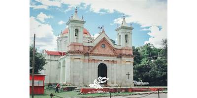PATROCINIO ZARAGOZA MEJIA