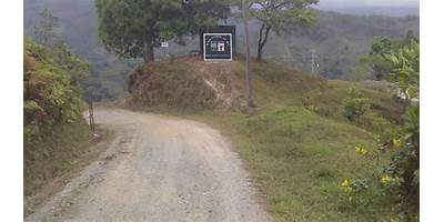 PAZ Y LIBERTAD