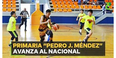 PEDRO J. MENDEZ