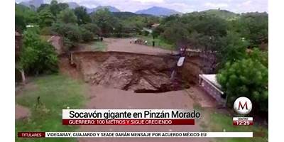 PINZAN MORADO