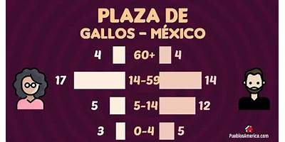 PLAZA DE GALLOS