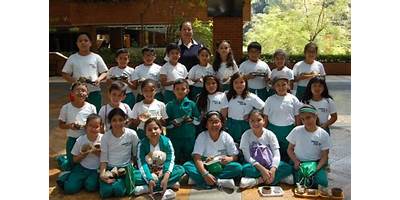 Imagen de la galería