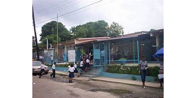 PRIMARIA BILINGUE