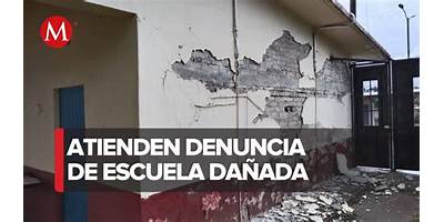 PRIMARIA COMUNITARIA