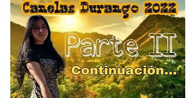 PRIMARIA COMUNITARIA