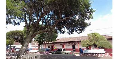 PRIMARIA COMUNITARIA EL CHILAR