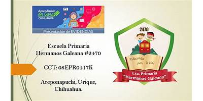 PRIMARIA COMUNITARIA