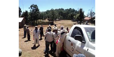PRIMARIA COMUNITARIA INDIGENA