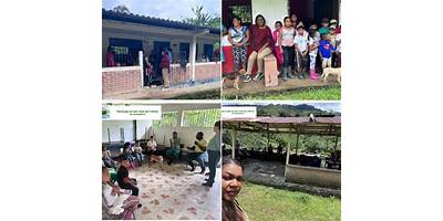 PRIMARIA COMUNITARIA RURAL EL PALMAR (LA OCOTERA SECA)