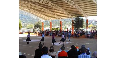 Imagen de la galería