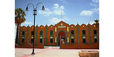 PRIMARIA COMUNITARIA