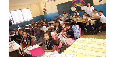 PRIMARIA ESTATAL