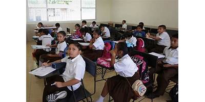 PRIMARIA INDIGENA