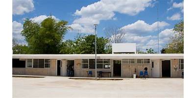 PRIMARIA INDIGENA
