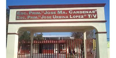PRIMARIA LIC. MARIA CARDENAS DE MALPICA