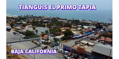 PRIMO TAPIA