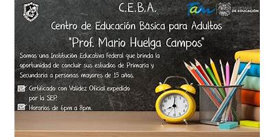 PROF. MARIO HUELGA CAMPOS