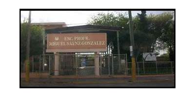 PROF. MIGUEL SAENZ GONZALEZ