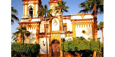 PROFESOR FELIPE FELIX CORRAL