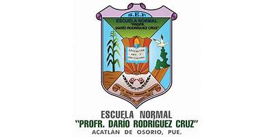 PROFR. DARIO VIDAL VIDAL