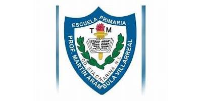 PROFR. MARTIN ARAMBULA VILLARREAL