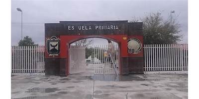 RAFAEL CASTRO FLORES