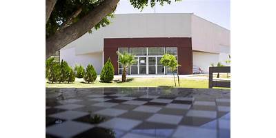Imagen de la galería