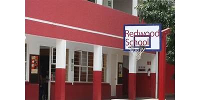 REDWOOD SCHOOL