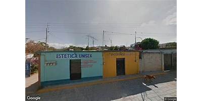 RICARDO FLORES MAGON