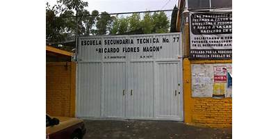 RICARDO FLORES MAGON