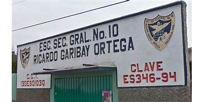RICARDO GARIBAY ORTEGA