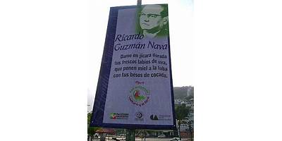 RICARDO GUZMAN NAVA