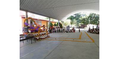 ROGELIO ZARATE FLORES