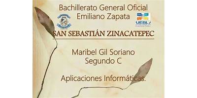 SAN SEBASTIAN ZINACATEPEC DIF