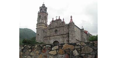 SAUZ DE OCOTEPEC