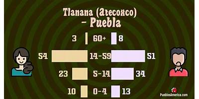SECUNDARIA COMUNITARIA RURAL TLANANA ATECOXCO