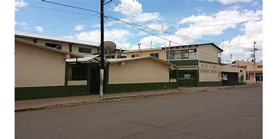SECUNDARIA ESTATAL 3029 GUADALUPE VICTORIA