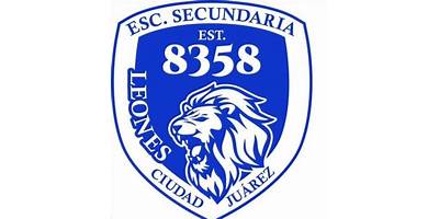 SECUNDARIA POR COOPERACION 8358