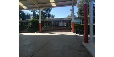 SECUNDARIA TECNICA 49