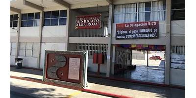 SINDICATO ALBA ROJA NUM. 20