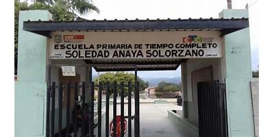 SOLEDAD ANAYA SOLORZANO