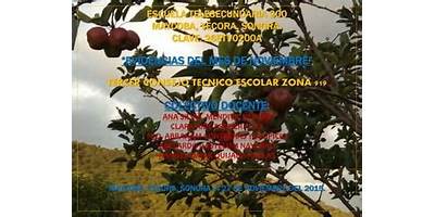 TELESECUNDARIA 200