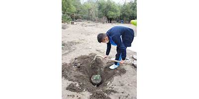 TELESECUNDARIA 235