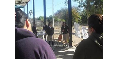 TELESECUNDARIA 241