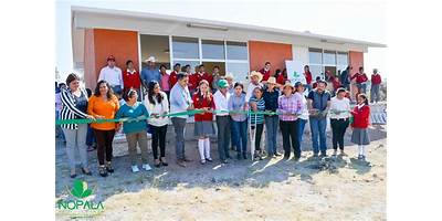 TELESECUNDARIA 524